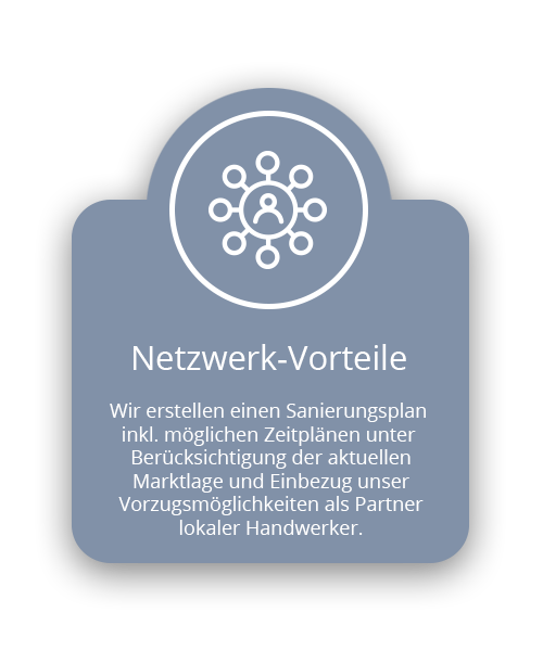 Netzwerk-Vorteile Icon 2