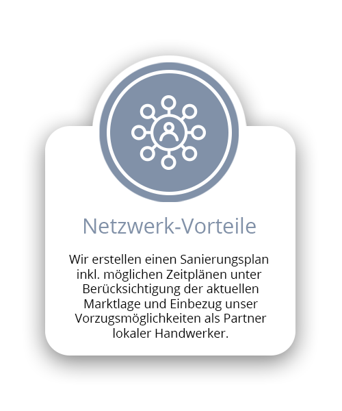 Netzwerk-Vorteile Icon
